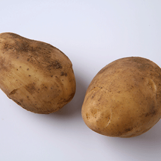 ｎｈｋ 趣味の園芸 やさいの時間 21年2 3月号 Nhk出版