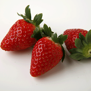 ｎｈｋ 趣味の園芸 やさいの時間 年10 11月号 Nhk出版