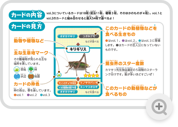 昆虫をとりまく自然カード」の遊び方 3 | NHK出版