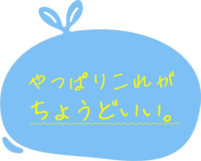 やっぱりこれがちょうどいい。